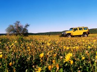 Hummer H3 photo